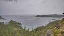./images/calvert/foggy-cove/20260709/foggy-cove20260709_153501M.jpg