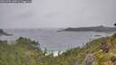 ./images/calvert/foggy-cove/20260709/foggy-cove20260709_160001M.jpg