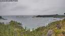 ./images/calvert/foggy-cove/20260709/foggy-cove20260709_164001M.jpg