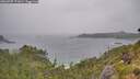 ./images/calvert/foggy-cove/20260709/foggy-cove20260709_171001M.jpg