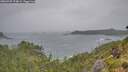 ./images/calvert/foggy-cove/20260709/foggy-cove20260709_174001M.jpg