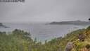 ./images/calvert/foggy-cove/20260709/foggy-cove20260709_183501M.jpg
