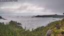 ./images/calvert/foggy-cove/20260709/foggy-cove20260709_191001M.jpg
