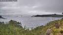 ./images/calvert/foggy-cove/20260709/foggy-cove20260709_191501M.jpg