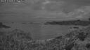 ./images/calvert/foggy-cove/20260710/foggy-cove20260710_044502M.jpg