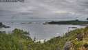 ./images/calvert/foggy-cove/20260710/foggy-cove20260710_052501M.jpg