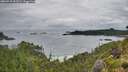 ./images/calvert/foggy-cove/20260710/foggy-cove20260710_053501M.jpg