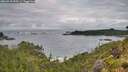 ./images/calvert/foggy-cove/20260710/foggy-cove20260710_055002M.jpg
