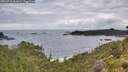 ./images/calvert/foggy-cove/20260710/foggy-cove20260710_062001M.jpg