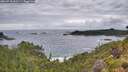 ./images/calvert/foggy-cove/20260710/foggy-cove20260710_062501M.jpg