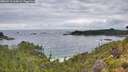 ./images/calvert/foggy-cove/20260710/foggy-cove20260710_063002M.jpg