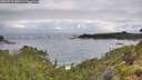 ./images/calvert/foggy-cove/20260710/foggy-cove20260710_080501M.jpg