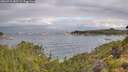 ./images/calvert/foggy-cove/20260710/foggy-cove20260710_082501M.jpg