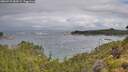 ./images/calvert/foggy-cove/20260710/foggy-cove20260710_084501M.jpg