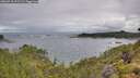 ./images/calvert/foggy-cove/20260710/foggy-cove20260710_091501M.jpg