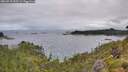 ./images/calvert/foggy-cove/20260710/foggy-cove20260710_093501M.jpg