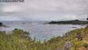 ./images/calvert/foggy-cove/20260710/foggy-cove20260710_094501M.jpg