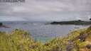 ./images/calvert/foggy-cove/20260710/foggy-cove20260710_095001M.jpg