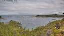 ./images/calvert/foggy-cove/20260710/foggy-cove20260710_095502M.jpg