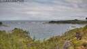 ./images/calvert/foggy-cove/20260710/foggy-cove20260710_100501M.jpg