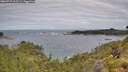 ./images/calvert/foggy-cove/20260710/foggy-cove20260710_102501M.jpg