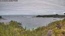 ./images/calvert/foggy-cove/20260710/foggy-cove20260710_103001M.jpg