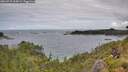 ./images/calvert/foggy-cove/20260710/foggy-cove20260710_104501M.jpg