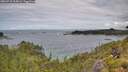 ./images/calvert/foggy-cove/20260710/foggy-cove20260710_105002M.jpg
