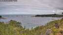 ./images/calvert/foggy-cove/20260710/foggy-cove20260710_105501M.jpg