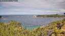 ./images/calvert/foggy-cove/20260710/foggy-cove20260710_110501M.jpg