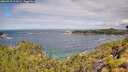 ./images/calvert/foggy-cove/20260710/foggy-cove20260710_111002M.jpg