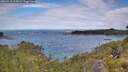 ./images/calvert/foggy-cove/20260710/foggy-cove20260710_112001M.jpg