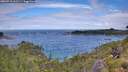./images/calvert/foggy-cove/20260710/foggy-cove20260710_112501M.jpg