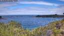 ./images/calvert/foggy-cove/20260710/foggy-cove20260710_113001M.jpg