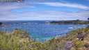 ./images/calvert/foggy-cove/20260710/foggy-cove20260710_113502M.jpg