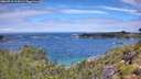 ./images/calvert/foggy-cove/20260710/foggy-cove20260710_114501M.jpg