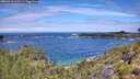 ./images/calvert/foggy-cove/20260710/foggy-cove20260710_115501M.jpg