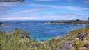./images/calvert/foggy-cove/20260710/foggy-cove20260710_120501M.jpg