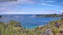 ./images/calvert/foggy-cove/20260710/foggy-cove20260710_121501M.jpg