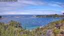 ./images/calvert/foggy-cove/20260710/foggy-cove20260710_122001M.jpg