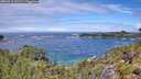 ./images/calvert/foggy-cove/20260710/foggy-cove20260710_122501M.jpg