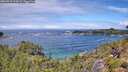 ./images/calvert/foggy-cove/20260710/foggy-cove20260710_123001M.jpg