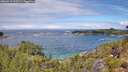 ./images/calvert/foggy-cove/20260710/foggy-cove20260710_123502M.jpg