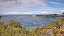 ./images/calvert/foggy-cove/20260710/foggy-cove20260710_124001M.jpg