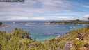 ./images/calvert/foggy-cove/20260710/foggy-cove20260710_124502M.jpg