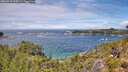 ./images/calvert/foggy-cove/20260710/foggy-cove20260710_125001M.jpg