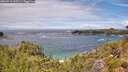 ./images/calvert/foggy-cove/20260710/foggy-cove20260710_130501M.jpg