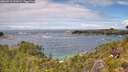 ./images/calvert/foggy-cove/20260710/foggy-cove20260710_131001M.jpg