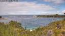 ./images/calvert/foggy-cove/20260710/foggy-cove20260710_132001M.jpg