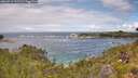 ./images/calvert/foggy-cove/20260710/foggy-cove20260710_132501M.jpg